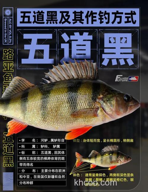 想要钓获黑鱼？先从了解它的生活习性做起！