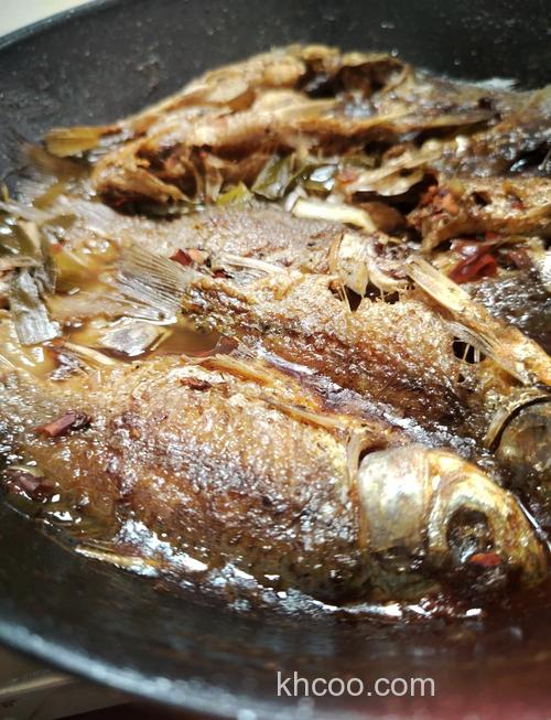 什么鱼吃酒糟长得快？