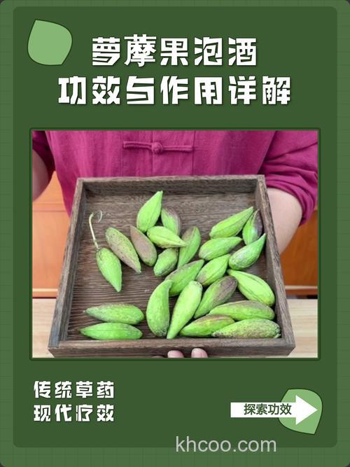 莲蘽果实如何泡酒？