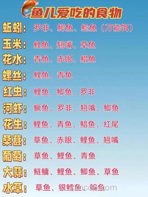 钓鱼鱼食怎么配