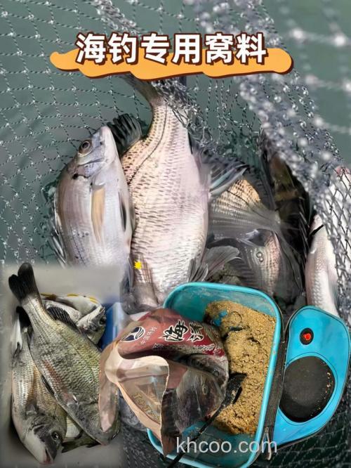 大亚湾海钓总空手？老陈分享野钓技巧，助你告别空军，轻松爆护