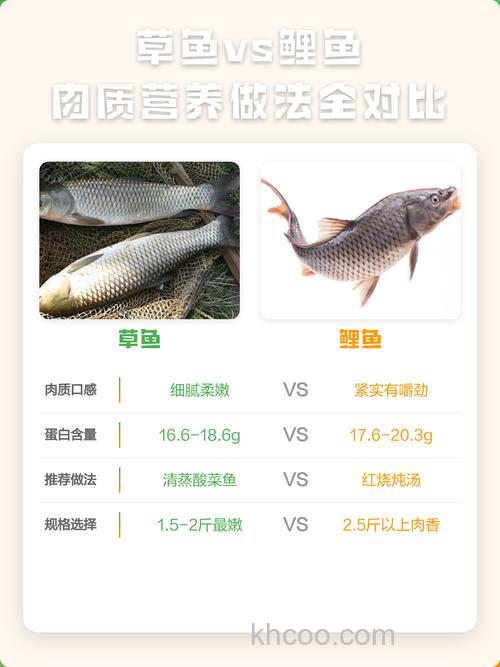 鲤鱼和草鱼的做法一样吗