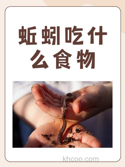 钓鱼家里养蚯蚓吃什么？
