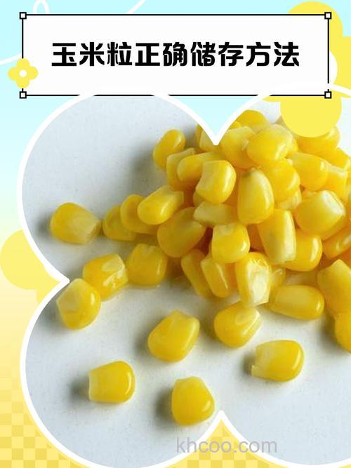 玉米粒怎么用？