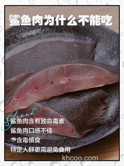 鱼吃生猪肉吗？