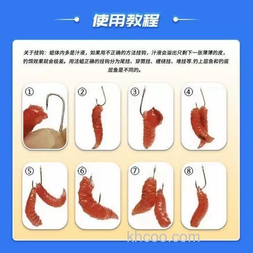 钓鱼线虫怎么用