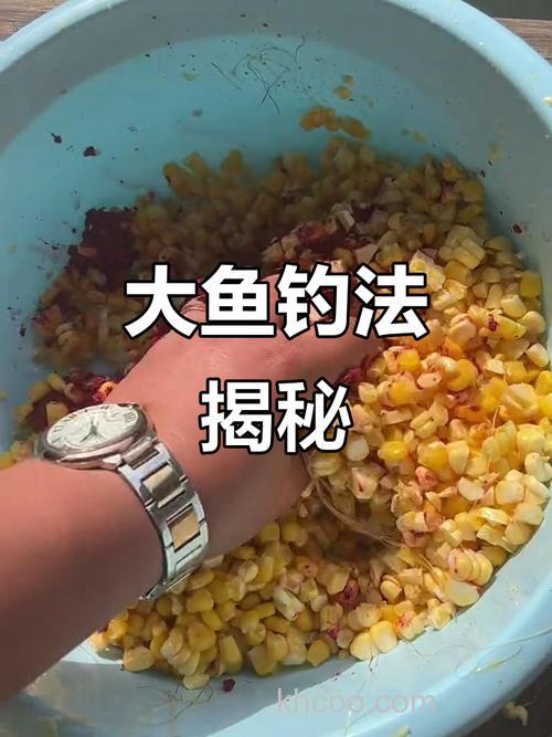 玉米酒糟养鱼技术方法？