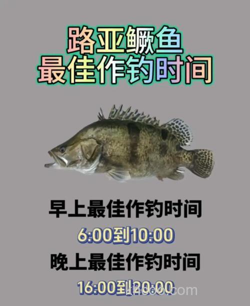 钓获鳜鱼的经典饵料是活虾！掌握这些技巧，中鱼率显著提高