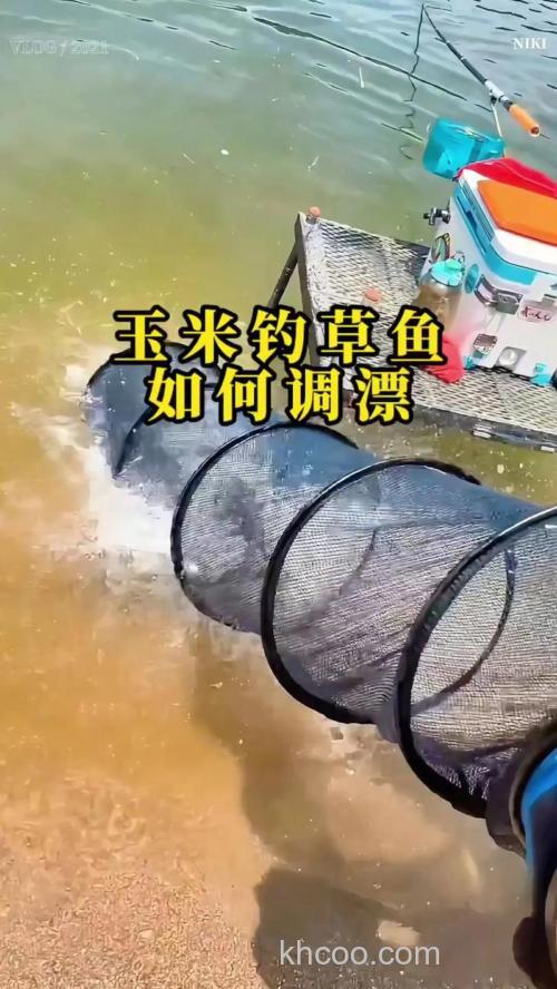 邓刚玉米钓草鱼配方？