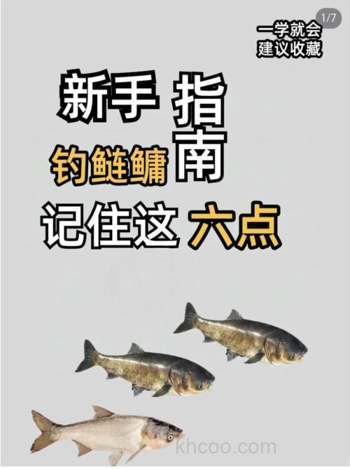 早春鲢鳙其实很好钓，只要掌握几个关键点