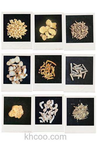 钓鱼用什么中药材泡洒米