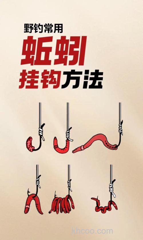 野钓鲤鱼蚯蚓挂法？
