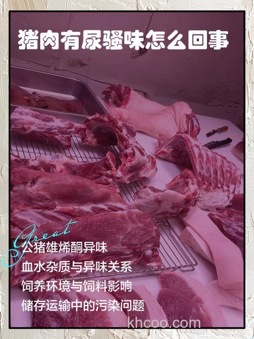 猪肉有尿味，这是为什么？