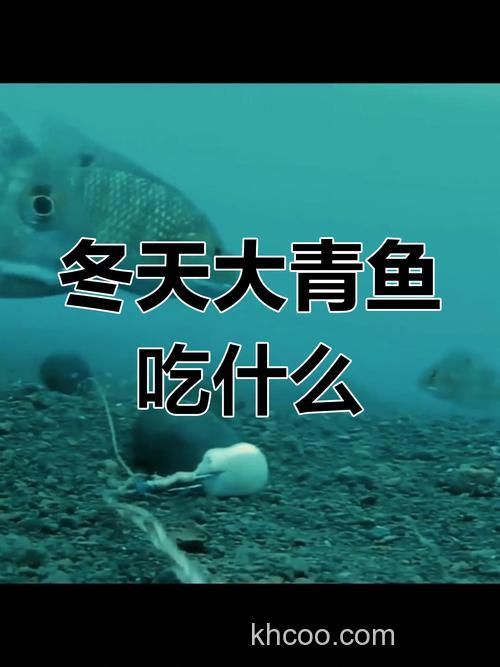 鲤鱼喜欢吃田螺还是玉米？