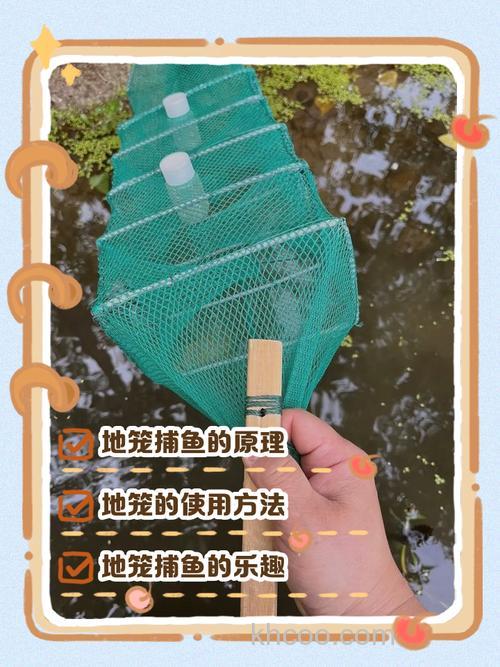 用什么饵料下地笼捕鲤鱼？