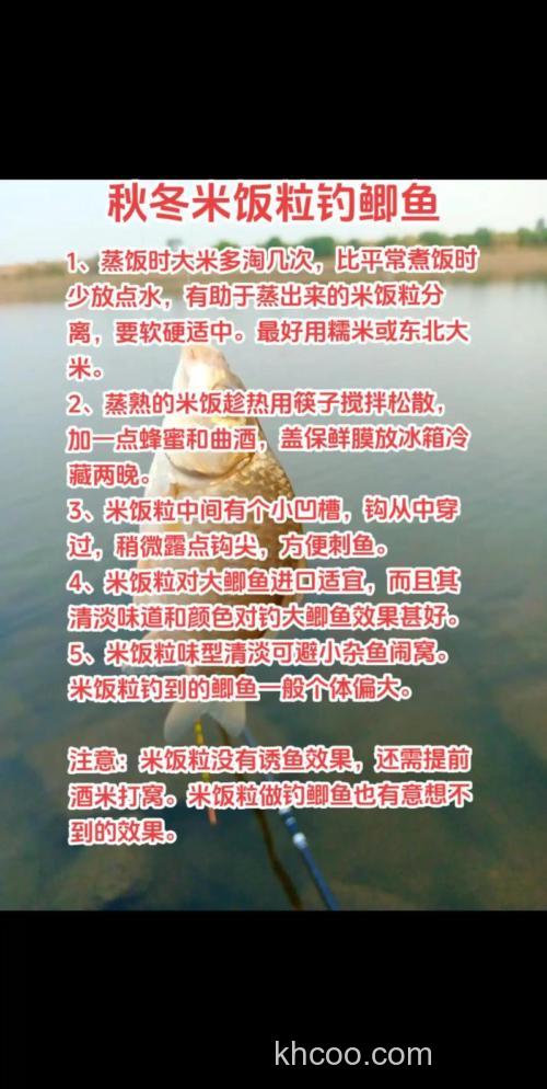 用大米怎么钓鱼？