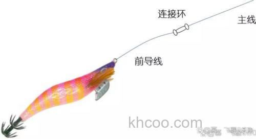 从新手到墨鱼高手：海钓墨鱼装备与技巧全解析，告别空手而归