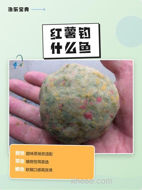 甜香红薯味钓什么鱼？