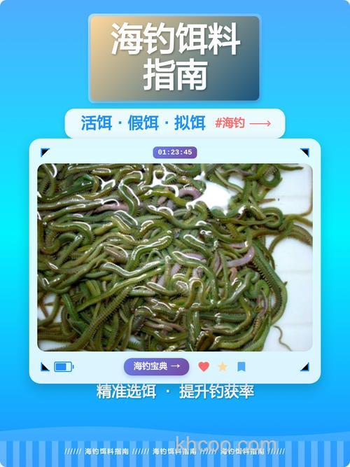 海钓用什么饵料钓比较好？