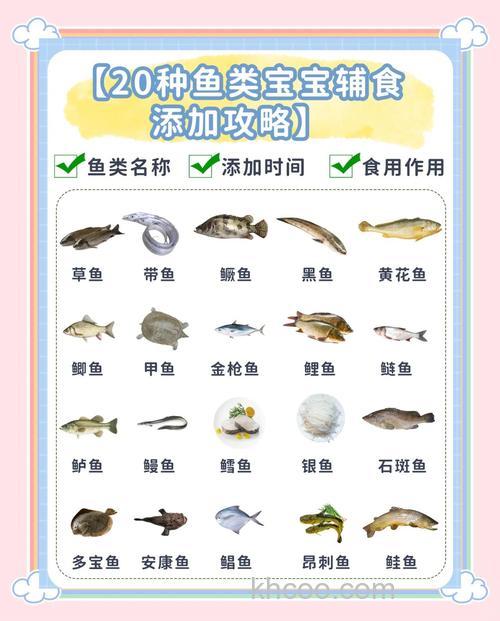 鲤鱼吃什么食物