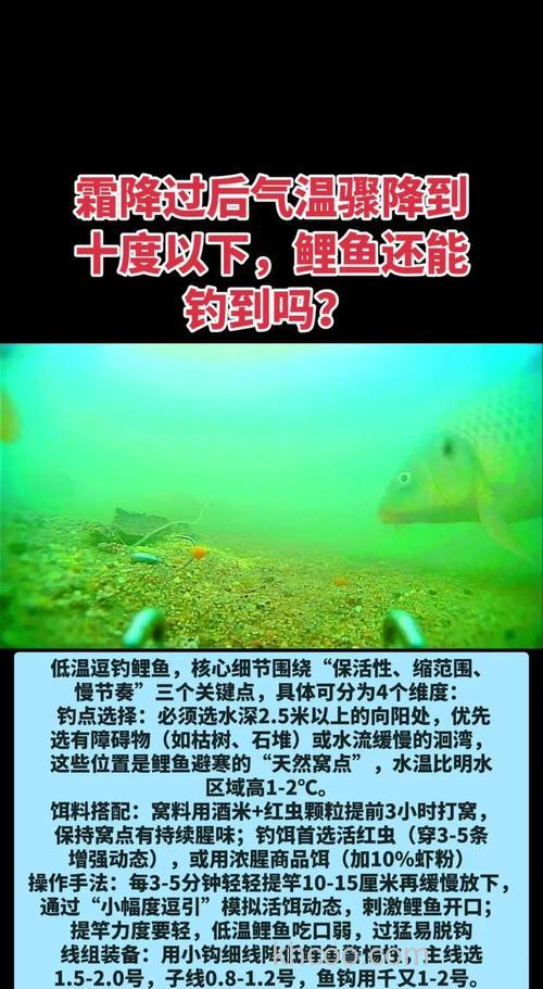 霜降了还下雨温差大怎么钓鱼？求鱼饵配方及钓点！