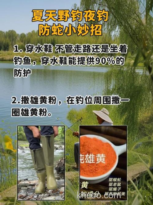 野外钓鱼如何防蛇？掌握这些防蛇知识与应对技巧，让钓程更安心