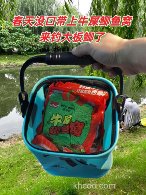 冬天钓鱼用什么饵料打窝