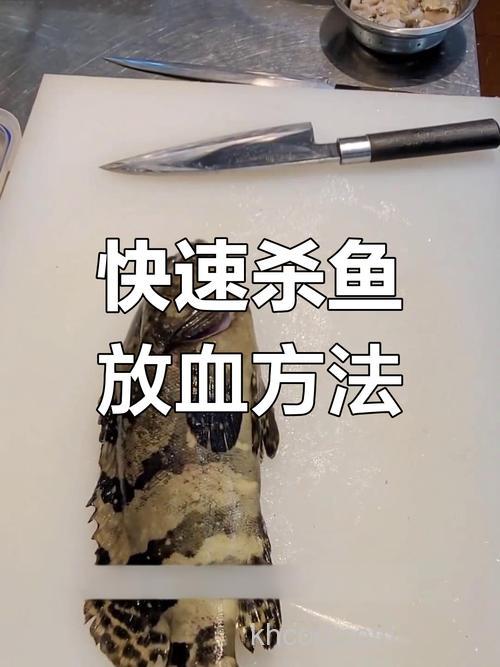 海钓放血技巧：提升鱼肉鲜度关键步骤，让渔获保鲜更美味
