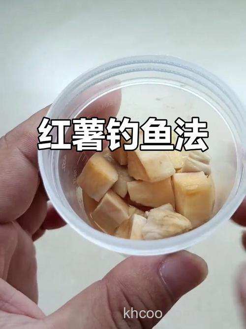 夏天红薯钓鲤鱼的正确方法？