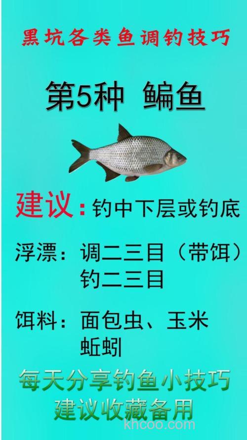 钓鳊鱼的商品饵组合？