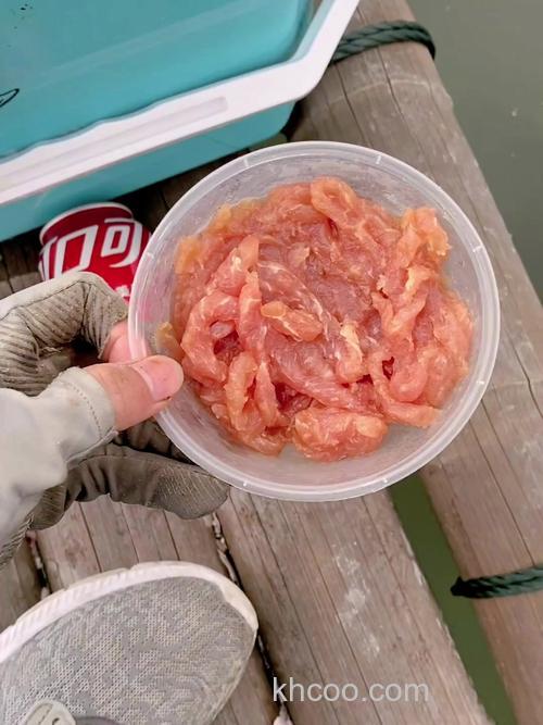 钓鱼可以用猪肉吗？