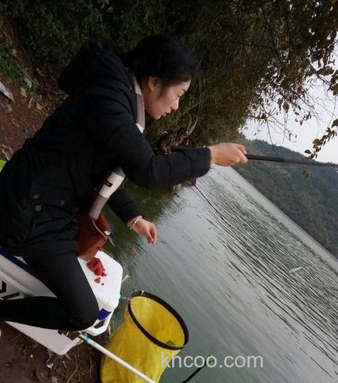 用生羊肉钓鱼可以吗？