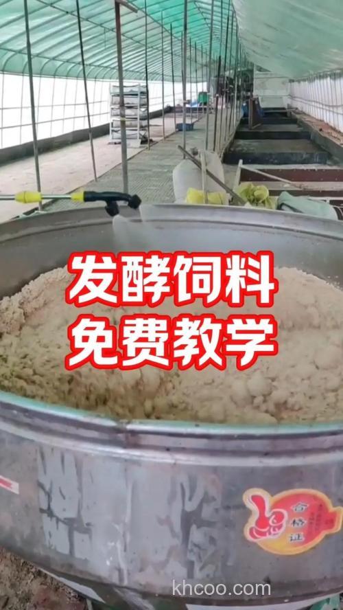 发酵饵料的制作方法？