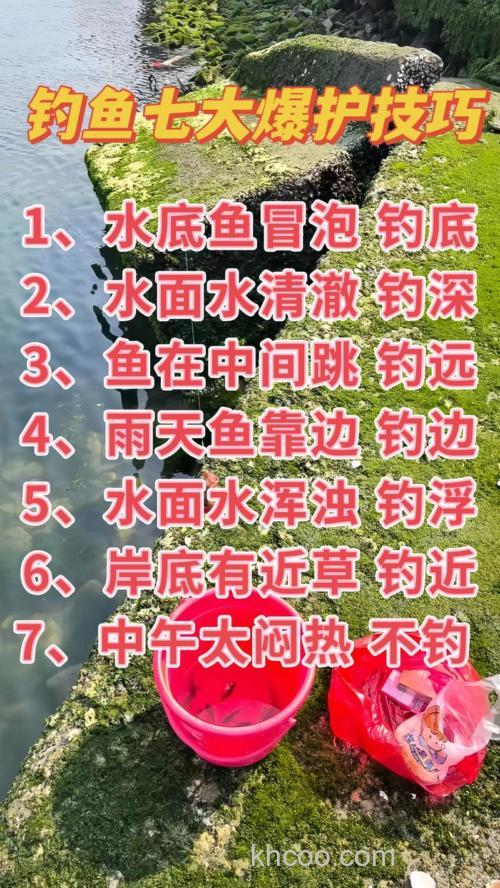 钓鱼技巧大揭秘从此不再空军