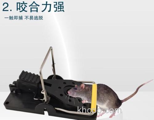 用老鼠夹捕鼠，应该放上什么诱饵才能吸引老鼠吃啊？