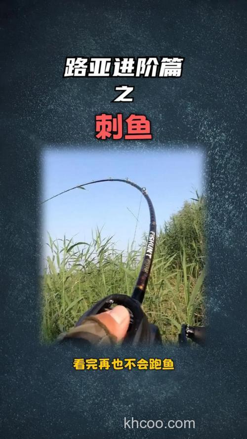 台钓刺鱼技巧大揭秘！把握最佳时机，提高中鱼概率