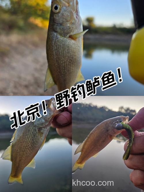 北京怀柔野钓十大排名？