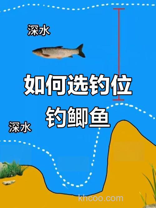 春季钓鲫鱼选择什么位置最好春季野钓鲫鱼技巧是什么