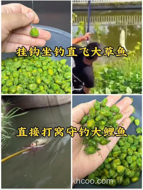 果酸钓鲤鱼的正确方法？