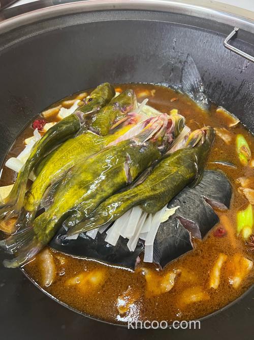 炖白鲢正宗做法王刚？