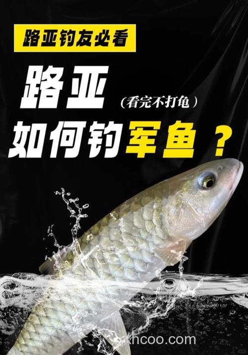 钓军鱼用什么饵料好 钓军鱼用什么饵料比较合适