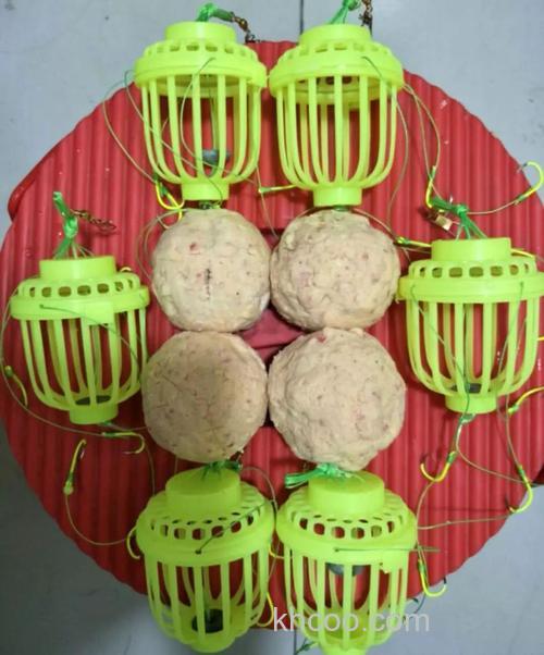 水怪钓鲢鳙用生玉米面加面粉发酵行吗?