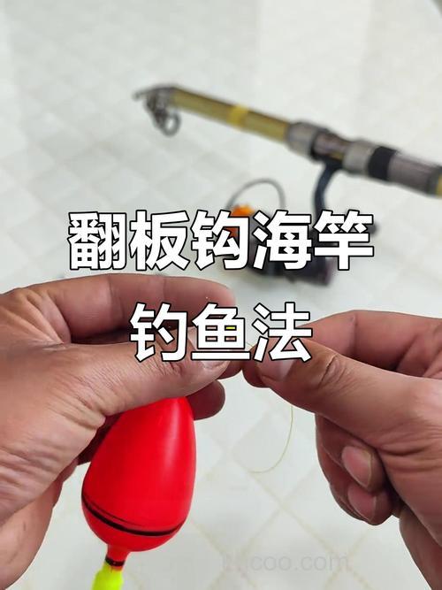 海钓、岸钓技巧,轻松掌握钓鱼达人海钓秘籍