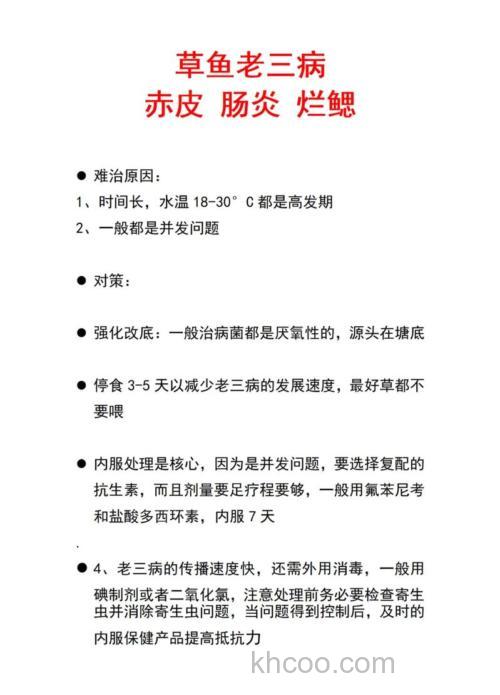 草鱼得了肠炎怎么办？