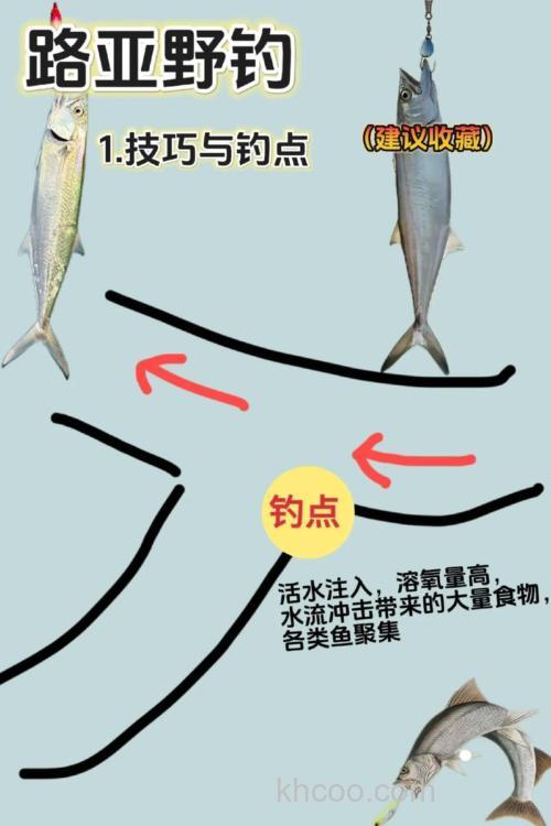 野钓技巧大全：如何选择最佳钓位，提升你的渔获与体验？