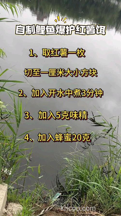 鲤鱼红薯饵料怎么做？