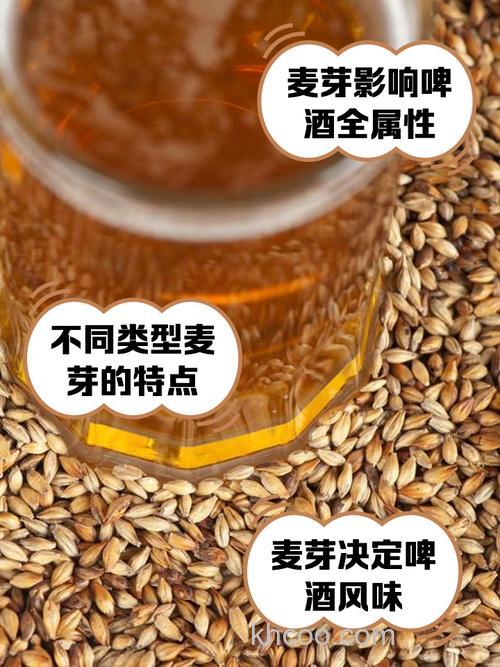 啤酒麦粒的做法？