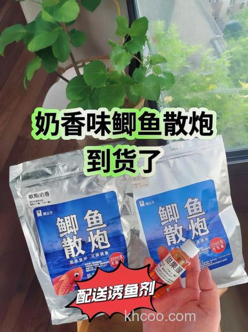 打鲫鱼窝奇奶香加什么最好？