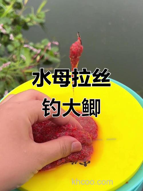 水母大师可以钓鲫鱼吗？