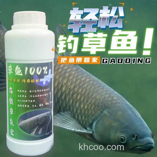 泡玉米钓草鱼最佳配方？